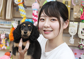 トリマー・アドバイザー 角谷 真奈