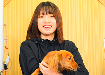 トリマー・アドバイザー 川上 茉菜