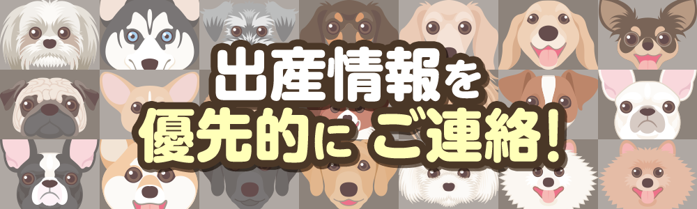出産情報を優先的にご連絡！