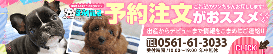 予約注文がオススメ